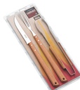 TRA020_Set-Churrasco-3-Piezas_Tramontina_02