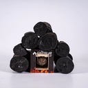 Iniciador de fuego XS