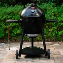 Kamado Akorn - Char Griller