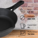 Sartén hierro fundido mango hierro 24 cm