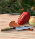 Cuchillo puñal 