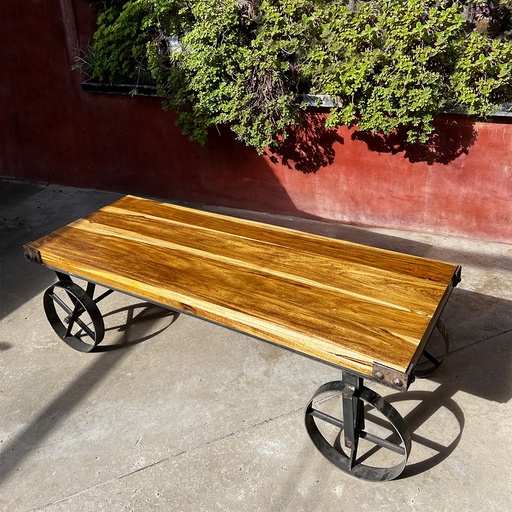 [HJA007] Mesa ratona Ferrocarril
